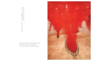 塩田千春「魂がふるえる」展覧会公式図録